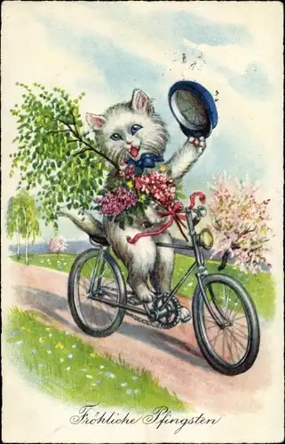 Ak Glückwunsch Pfingsten, Vermenschlichte Katze auf einem Fahrrad