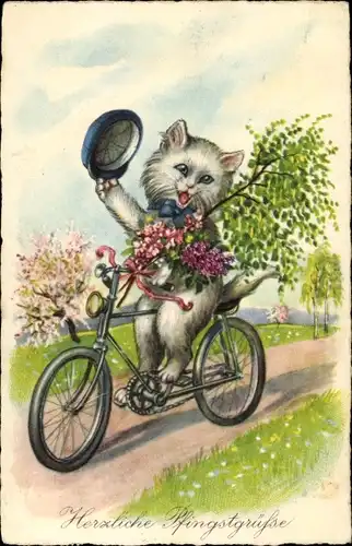 Ak Glückwunsch Pfingsten, Vermenschlichte Katze auf einem Fahrrad