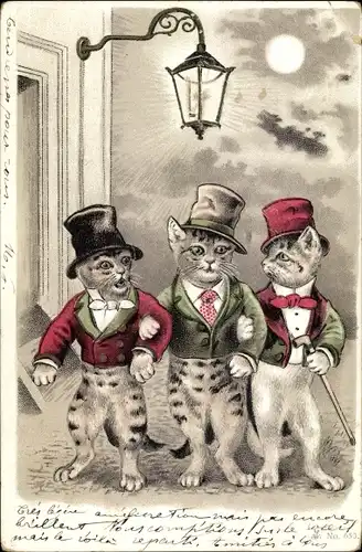 Litho Vermenschlichte Kater ziehen um die Häuser bei Nacht