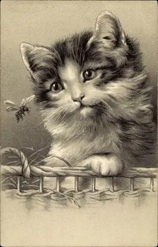 Präge Litho Katze beobachtet eine Fliege