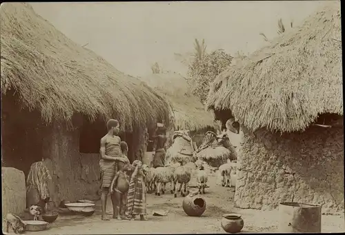 Foto Ak Kamerun, Partie in einem Dorf, Schafe, Lehmhütten
