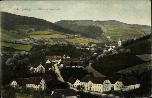 Ak Rościszów Steinseifersdorf Dzierżoniów Reichenbach Eulengebirge Schlesien, Panorama