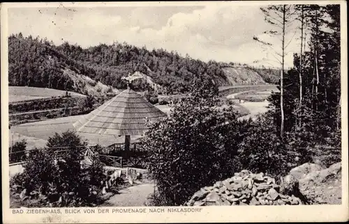 Ak Głuchołazy Zdrój Bad Ziegenhals Schlesien, Blick von der Promenade nach Niklasdorf