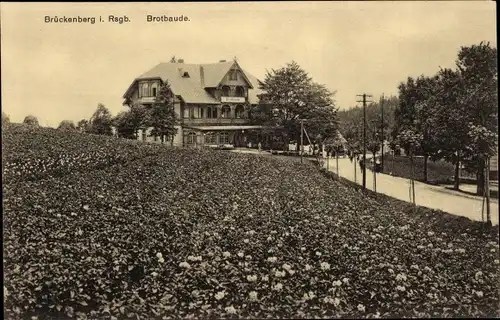 Ak Karpacz Górny Brückenberg Krummhübel Riesengebirge Schlesien, Brotbaude