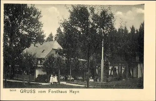 Ak Hain Oybin Oberlausitz, Forsthaus Hayn