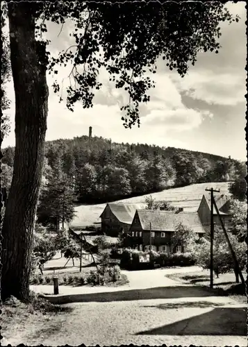 Ak Hayn Oybin Oberlausitz, Hochwald