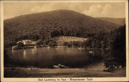 Ak Bad Lauterberg im Harz, Wiesenbeeker Teich