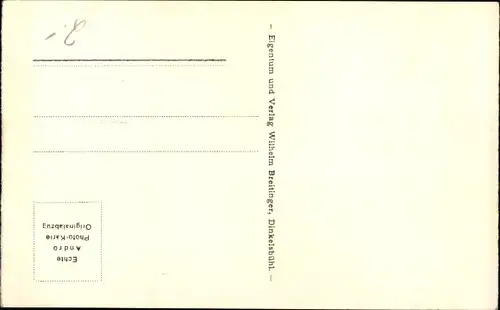 Ak Dinkelsbühl in Mittelfranken, Segringer Tor