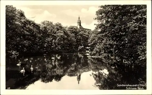 Ak Sondershausen im Kyffhäuserkreis Thüringen, Schloss-Teich