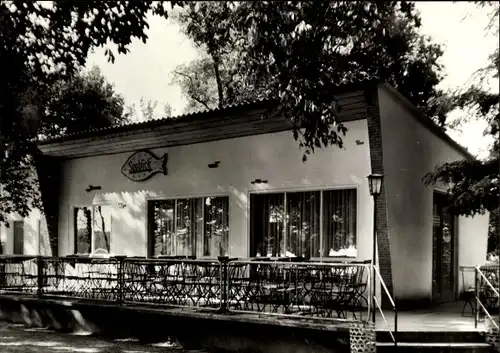 Ak Körba Lebusa in Brandenburg, Naherholungsgebiet Körbaer See, Gaststätte Seeblick, Terrasse