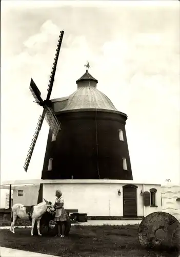 Ak Neustadt Halle an der Saale, HO Gaststätte Eselsmühle, Esel, Windmühle