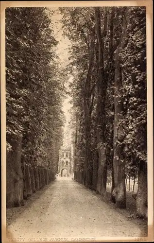 Ak Cambridge East England, Trinity College Avenue