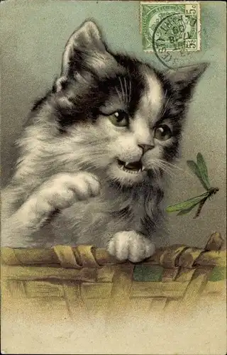 Präge Litho Schwarz weiße Katze, Libelle