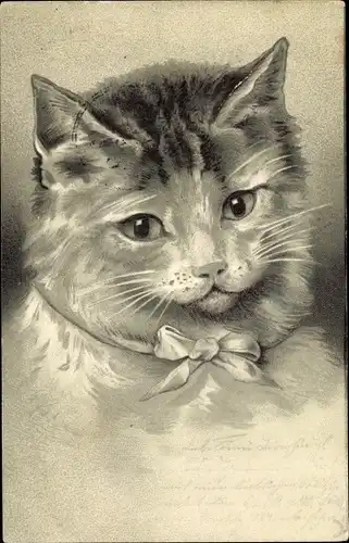 Präge Litho Katzen mit Halsschleife, Tierportrait