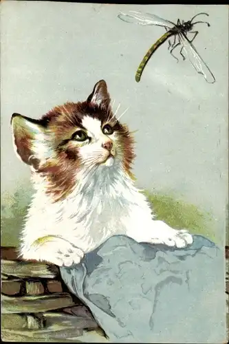 Ak Kätzchen beobachtet eine Libelle
