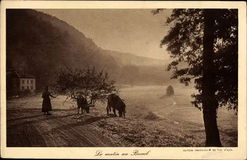 Ak Le Breuil Val d'Ajol Vosges, Le matin
