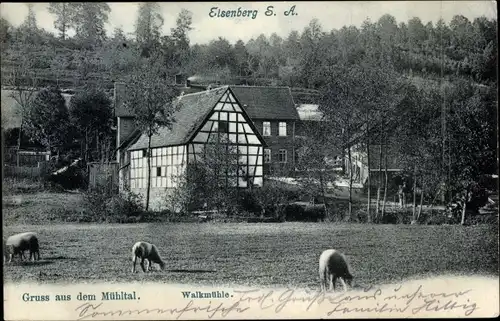 Ak Eisenberg in Thüringen, Mühltal, Walkmühle, Fachwerkhaus
