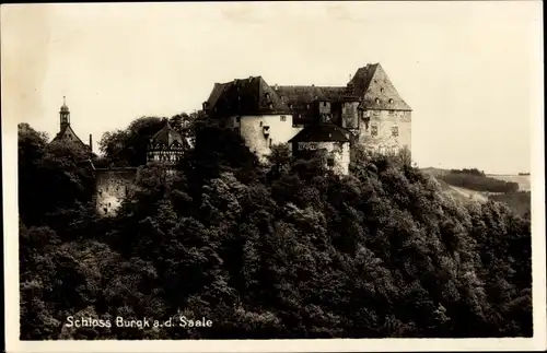 Ak Burgk Schleiz im Vogtland Thüringen, Schloss Burgk an der Saale, Wald