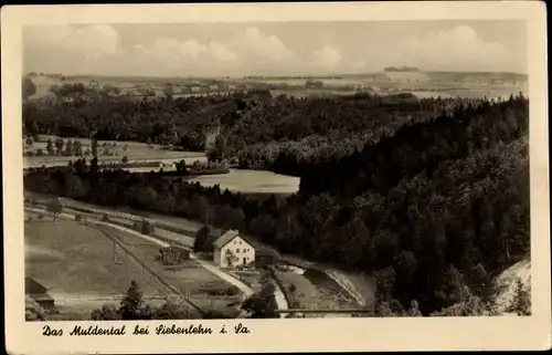 Ak Siebenlehn Großschirma in Sachsen, Das Muldental, Panorama