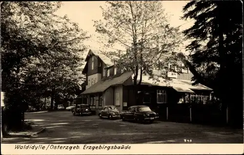 Ak Waldidylle Altenberg im Osterzgebirge, Erzgebirgsbaude, Autos