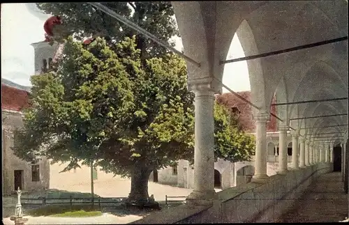 Ak Millstatt am See Kärnten, Klostergang