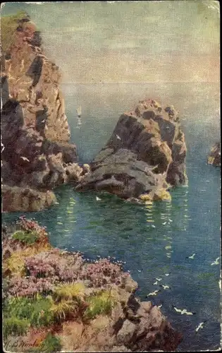 Künstler Ak Cornwall England, Cornish Cliffs