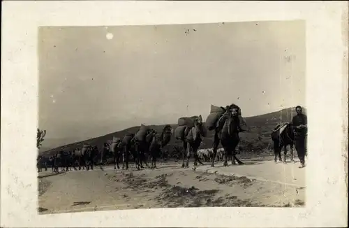 Foto Ak Pferde transportieren Säcke, Transport, Bauer