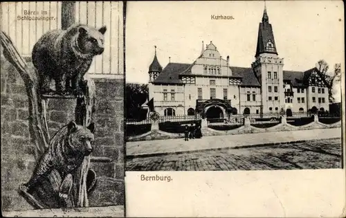 Ak Bernburg an der Saale Salzlandkreis, Kurhaus, Bären im Schlosszwinger
