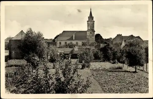 Ak Müllrose im Kreis Oder Spree, Blick zur Stadt, Kirche, Gärten