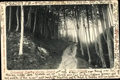 Ak Ostseebad Timmendorfer Strand, Wolfsschlucht