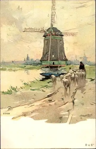 Künstler Litho Cassiers, H., Edam Volendam Nordholland Niederlande, Windmühle, Schafherde