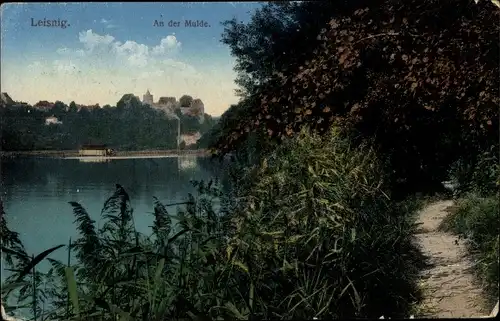 Ak Leisnig Mittelsachsen, An der Mulde, Ortschaft, Weg
