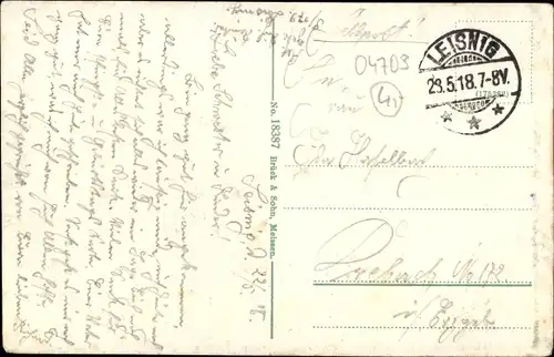 Ak Leisnig Mittelsachsen, An der Mulde, Ortschaft, Weg