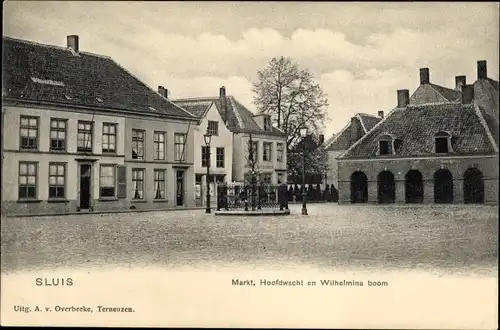 Ak Sluis Zeeland Niederlande, Markt, Hoofdwacht en Wilhelmina boom
