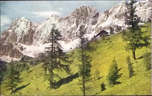 Ak Dachstein Steiermark, Südwände mit Austriahütte, Panorama