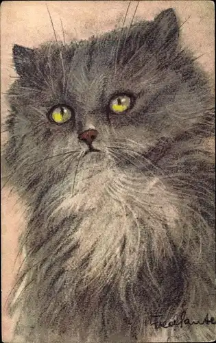 Künstler Ak Langhaarige schwarze Katze