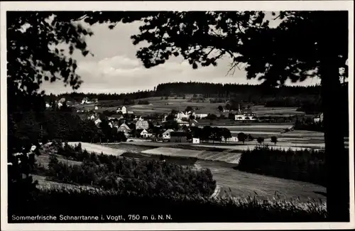 Ak Schnarrtanne Auerbach im Vogtland, Teilansicht vom Ort, Partie am Waldrand, Felder