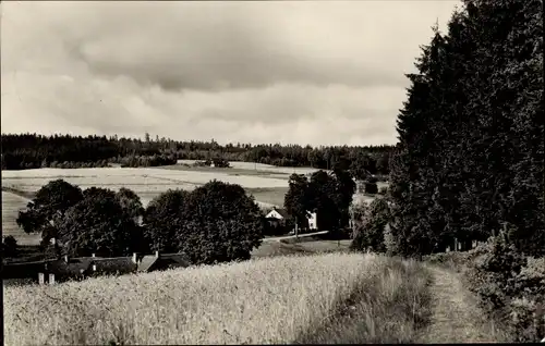 Ak Bärenloh Bad Elster im Vogtland, Blick vom Feldweg auf den Ort