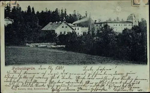 Mondschein Ak Reiboldsgrün Auerbach im Vogtland, Hausansichten