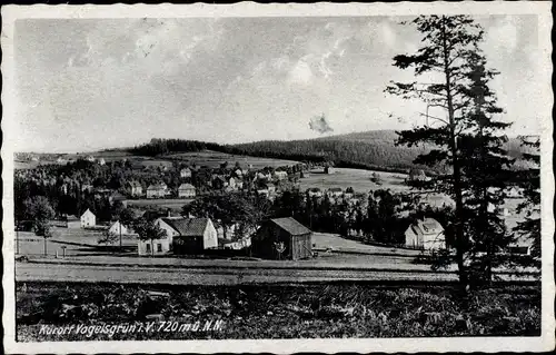 Ak Vogelsgrün Auerbach im Vogtland, Gesamtansicht