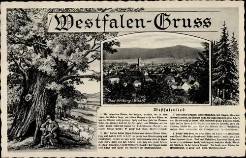 Lied Ak Bad Driburg in Westfalen, Westfalenlied, Panorama vom Ort