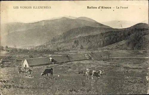 Ak Ballon d'Alsace Vosges, La Ferme
