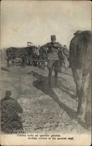 Ak Serbien, Colonel serbe au quartier general