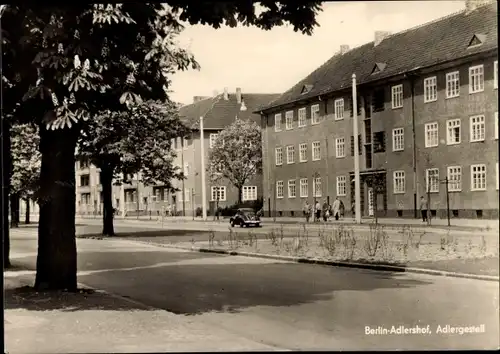 Ak Berlin Treptow Adlershof, Adlergestell