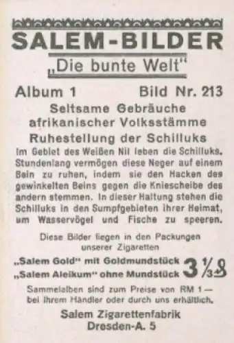 Sammelbild Die bunte Welt Album 1 Bild 213, Seltsame Gebräuche afrik. Volksstämme, Schilluks