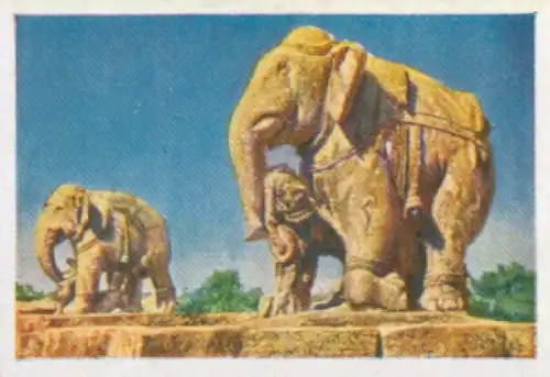 Sammelbild Die bunte Welt Album 1 Bild 161,Das Tier in der Steinplastik Asiens,Elefanten in Konoraka