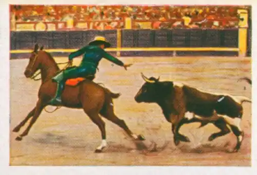 Sammelbild Die bunte Welt Album 1 Bild 208, Spanischer Stierkampf, Caballero beim Reizen