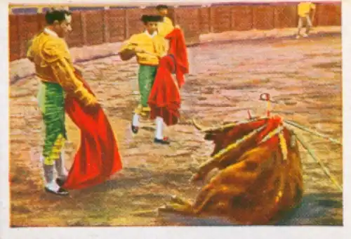 Sammelbild Die bunte Welt Album 1 Bild 210, Spanischer Stierkampf, Verendender Stier
