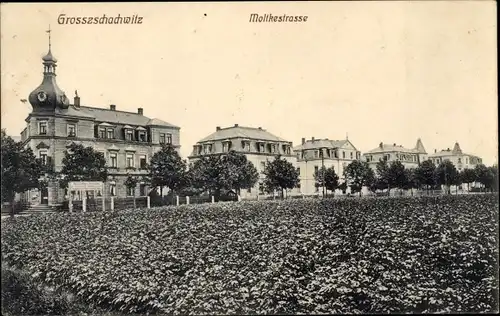 Ak Dresden Leuben Großzschachwitz Zschachwitz, Moltkestraße