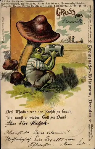 Litho Dresden, Promenaden Restaurant, Webergasse, Scheffelstraße, Frosch trinkt Bier, Pilze